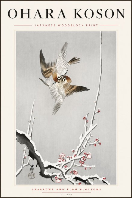 Ohara Koson Sparrows and Plum Blossoms No5 - Poszter