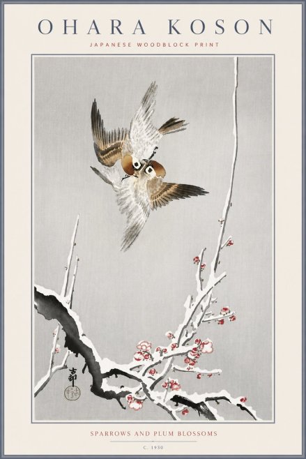 Ohara Koson Sparrows and Plum Blossoms No6 - Poszter