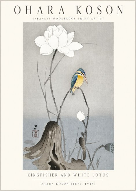 Ohara Koson Kingfisher and White Lotus No1 - Poszter