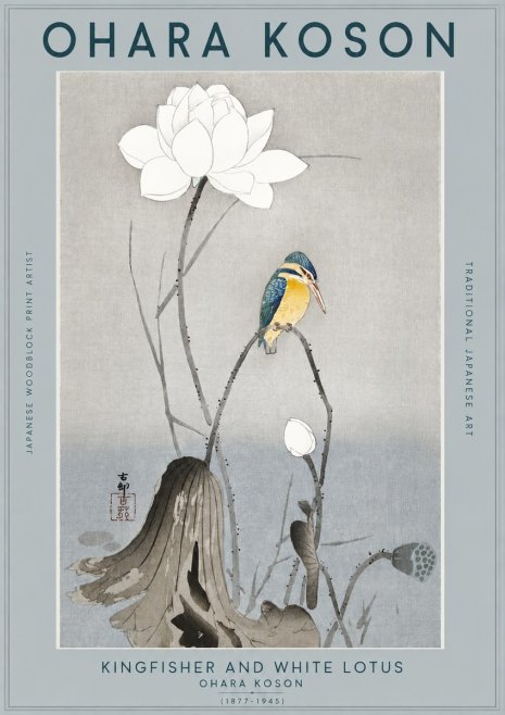 Ohara Koson Kingfisher and White Lotus No2 - Poszter