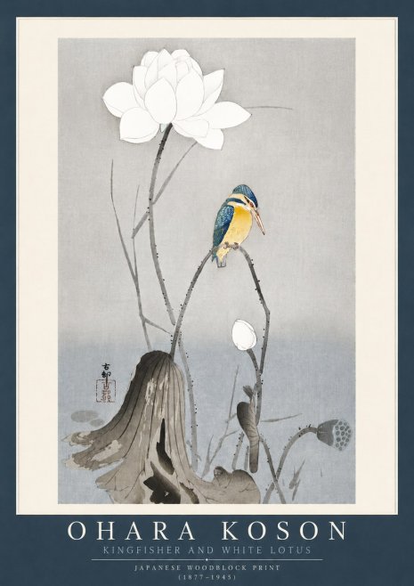 Ohara Koson Kingfisher and White Lotus No4 - Poszter