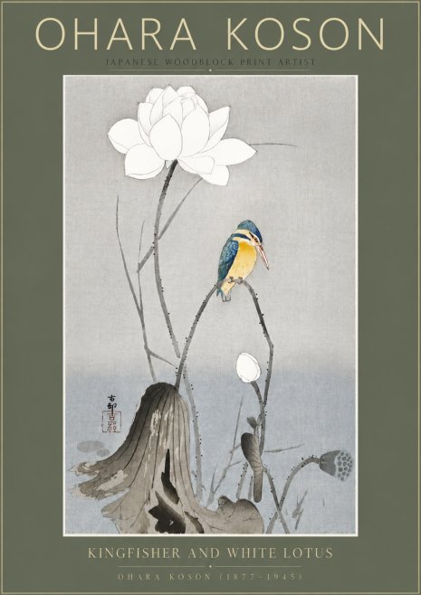 Ohara Koson Kingfisher and White Lotus No5 - Poszter