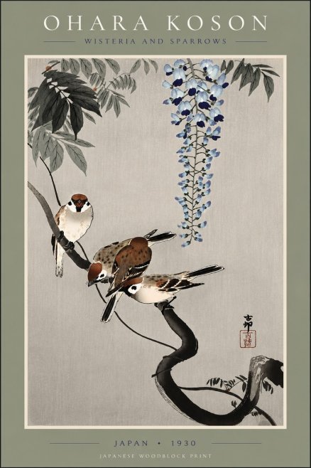 Ohara Koson Wisteria and Sparrows No5 - Poszter