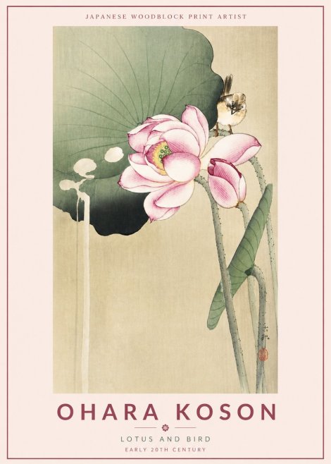Ohara Koson Lotus and Bird No4 - Poszter