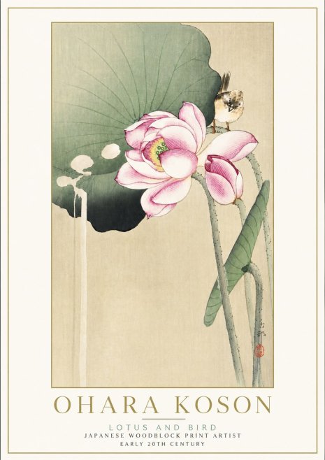 Ohara Koson Lotus and Bird No5 - Poszter