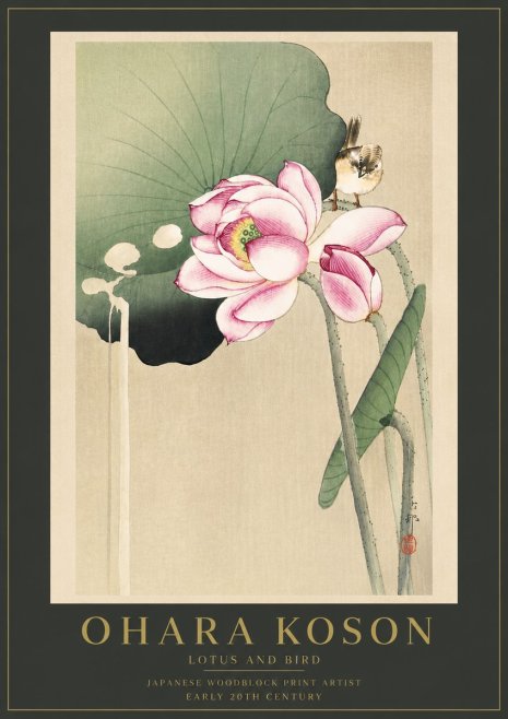 Ohara Koson Lotus and Bird No6 - Poszter
