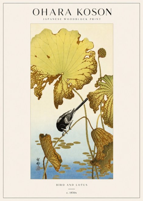 Ohara Koson Bird and Lotus No3 - Poszter