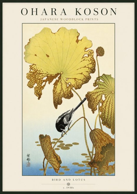 Ohara Koson Bird and Lotus No5 - Poszter