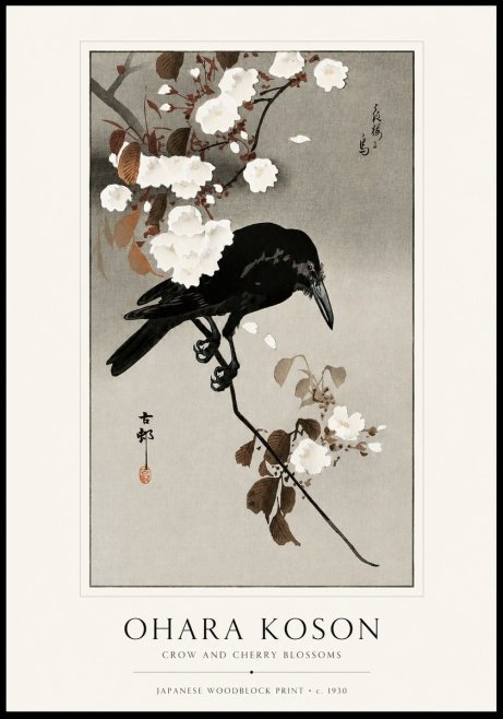 Ohara Koson Crow and Cherry Blossoms No1 - Poszter