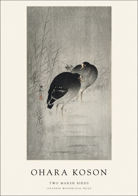 Ohara Koson Two Marsh Birds No1 - Poszter