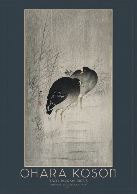 Ohara Koson Two Marsh Birds No2 - Poszter