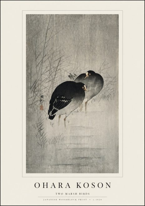 Ohara Koson Two Marsh Birds No3 - Poszter
