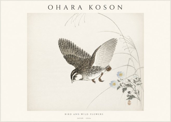 Ohara Koson Bird and Wild Flowers No1 - Poszter