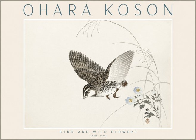 Ohara Koson Bird and Wild Flowers No2 - Poszter