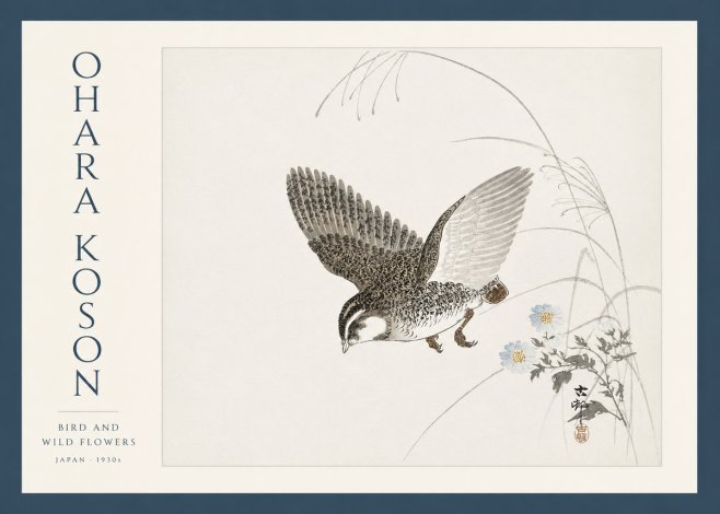 Ohara Koson Bird and Wild Flowers No3 - Poszter