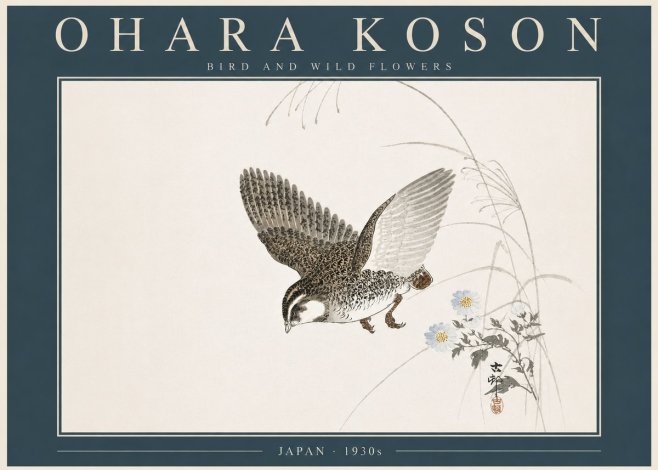 Ohara Koson Bird and Wild Flowers No5 - Poszter