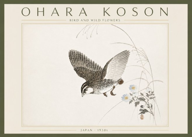 Ohara Koson Bird and Wild Flowers No6 - Poszter