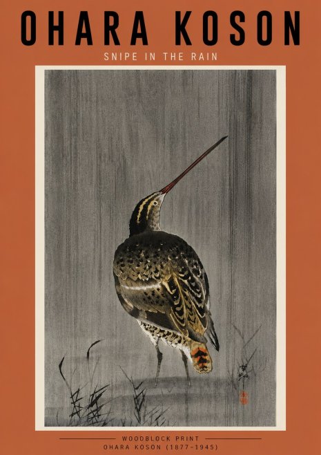 Ohara Koson Snipe in the Rain No5 - Poszter