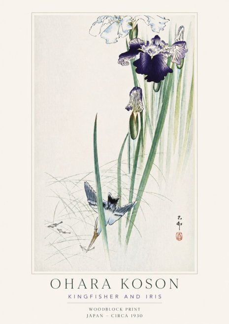 Ohara Koson Kingfisher and Iris No3 - Poszter