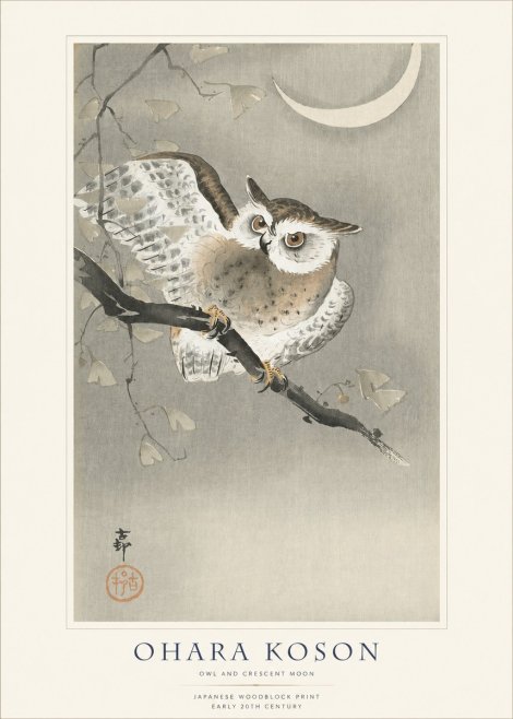 Ohara Koson Owl and Crescent Moon No1 - Poszter