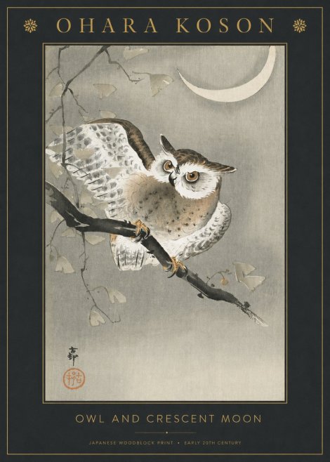 Ohara Koson Owl and Crescent Moon No3 - Poszter
