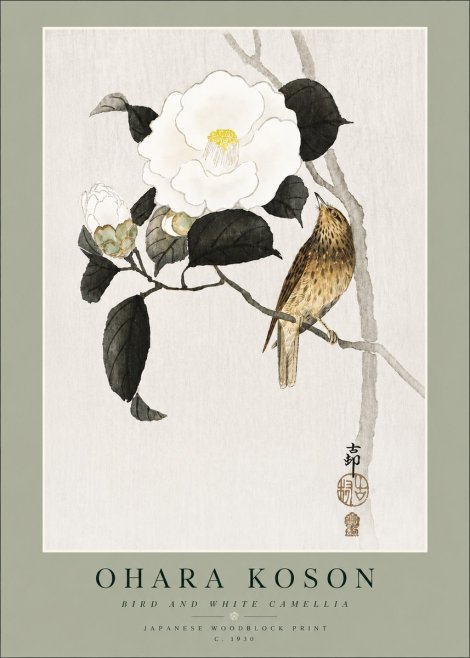 Ohara Koson Bird and White Camellia No4 - Poszter