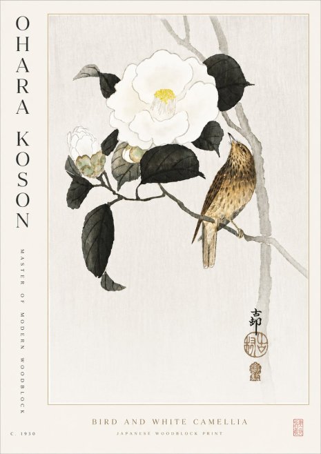 Ohara Koson Bird and White Camellia No5 - Poszter