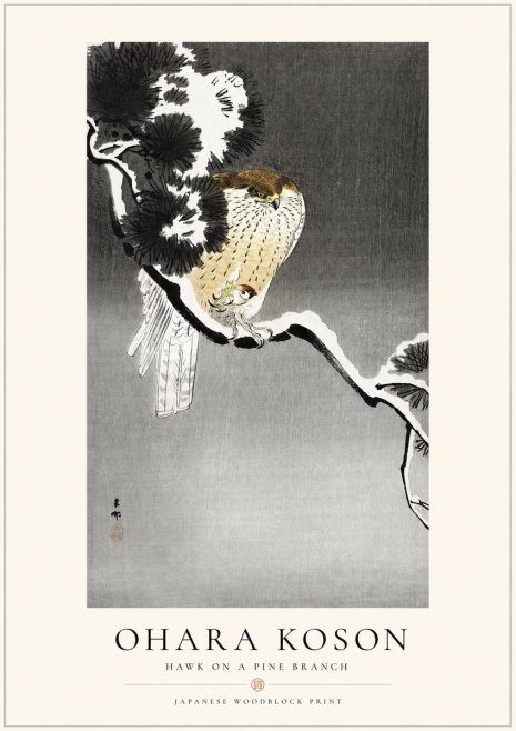 Ohara Koson Hawk on a Pine Branch No1 - Poszter