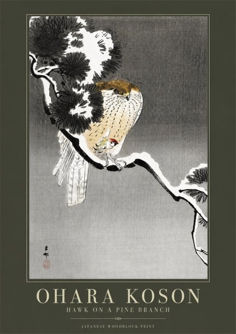 Ohara Koson Hawk on a Pine Branch No2 - Poszter