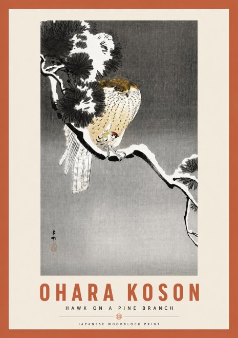 Ohara Koson Hawk on a Pine Branch No3 - Poszter