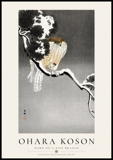 Ohara Koson Hawk on a Pine Branch No4 - Poszter