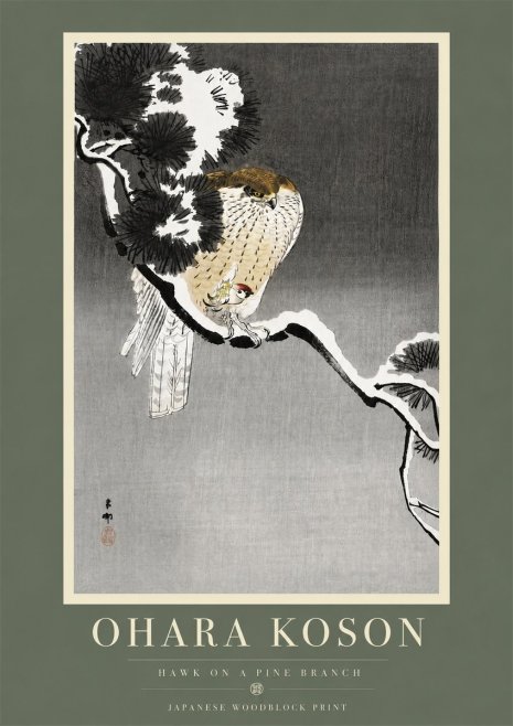 Ohara Koson Hawk on a Pine Branch No5 - Poszter