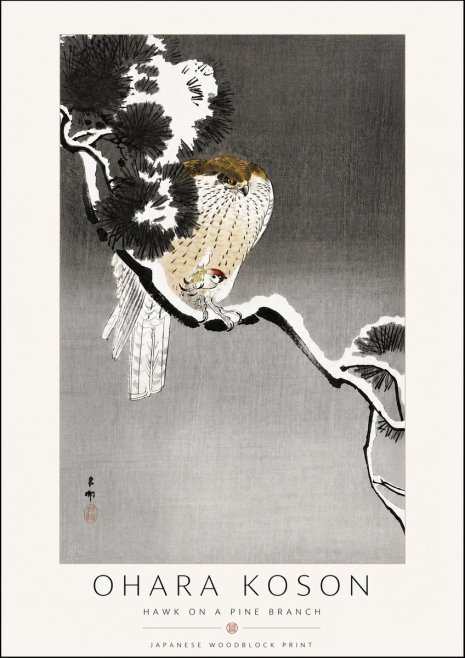 Ohara Koson Hawk on a Pine Branch No6 - Poszter