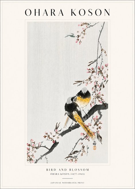 Ohara Koson Bird and Blossom No1 - Poszter