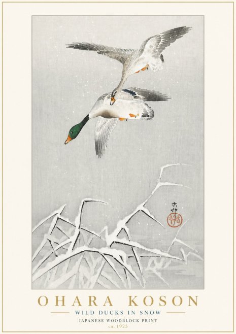 Ohara Koson Wild Ducks in Snow No3 - Poszter