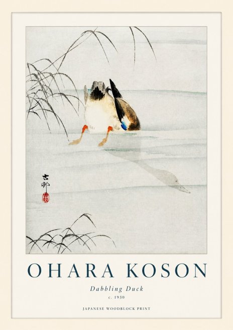 Ohara Koson Dabbling Duck No1 - Poszter