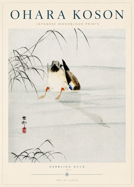 Ohara Koson Dabbling Duck No3 - Poszter