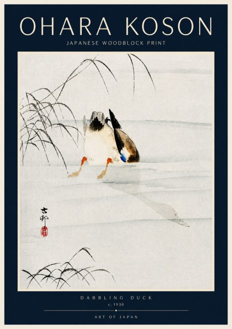 Ohara Koson Dabbling Duck No4 - Poszter