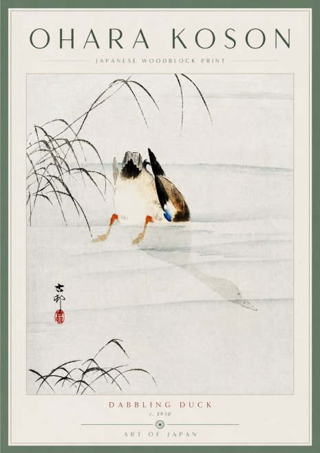 Ohara Koson Dabbling Duck No5 - Poszter