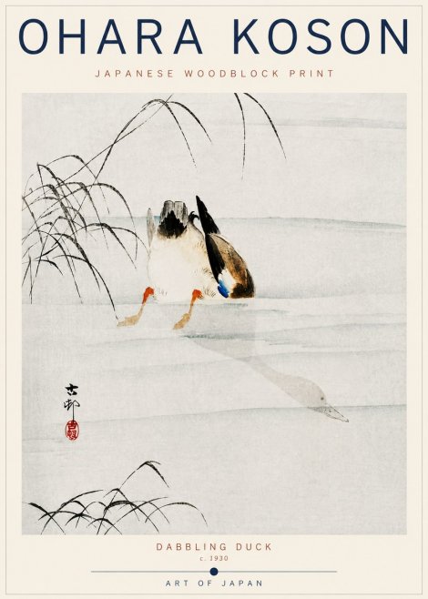 Ohara Koson Dabbling Duck No6 - Poszter
