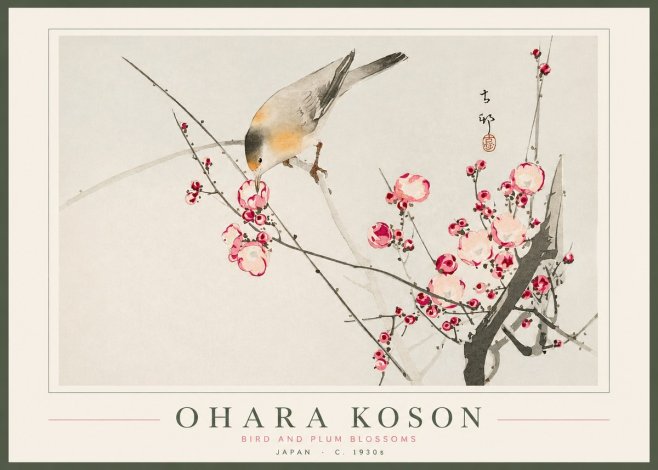 Ohara Koson Bird and Plum Blossoms No2 - Poszter