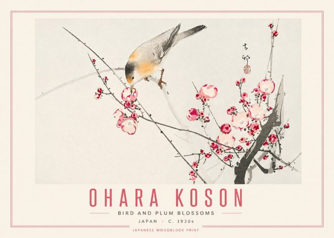 Ohara Koson Bird and Plum Blossoms No5 - Poszter