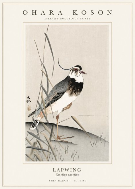 Ohara Koson Lapwing No1 - Poszter