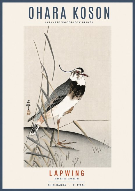 Ohara Koson Lapwing No2 - Poszter