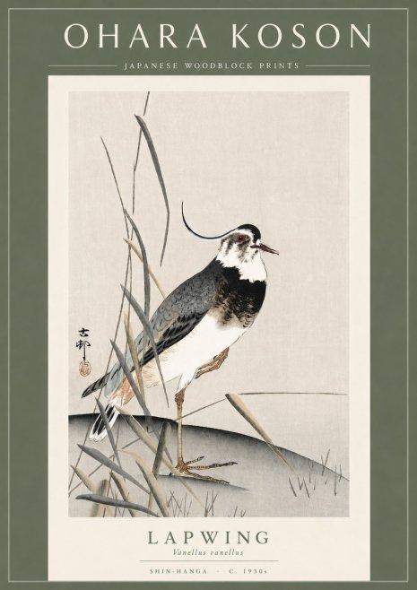 Ohara Koson Lapwing No3 - Poszter