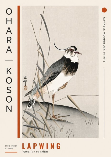 Ohara Koson Lapwing No4 - Poszter