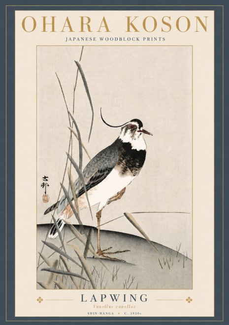 Ohara Koson Lapwing No5 - Poszter