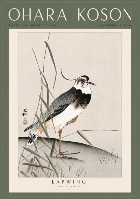 Ohara Koson Lapwing No6 - Poszter
