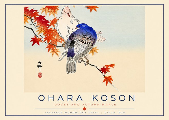 Ohara Koson Doves and Autumn Maple No6 - Poszter