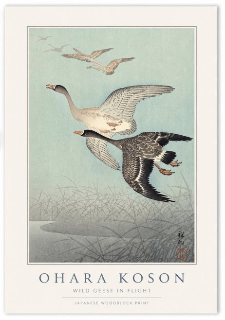 Ohara Koson Wild Geese in Flight II No1 - Poszter
